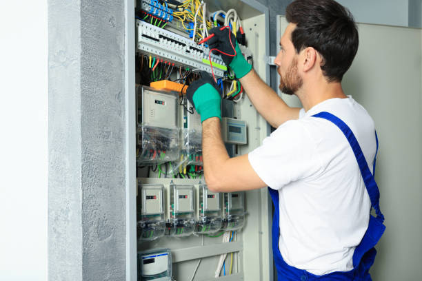 Best Electric Panel Repair  in Weston, WV